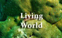 Living World Questions and Answers