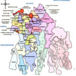 DHFWS South 24 Parganas Lab Technician Previous Year Question