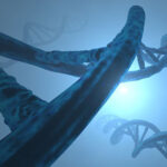 Biomolecules