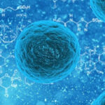 Cell Cycle and Cell Division Questions and Answers