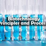 Biotechnology Principles and Processes Questions and Answers