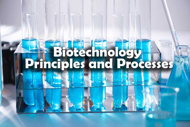 Biotechnology Principles and Processes Questions and Answers