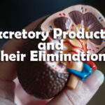 Excretory Products and their Elimination