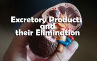 Excretory Products and their Elimination