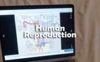 Human Reproduction MCQ