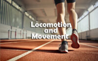 Locomotion and Movement Questions and Answers