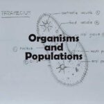 Organisms and Populations