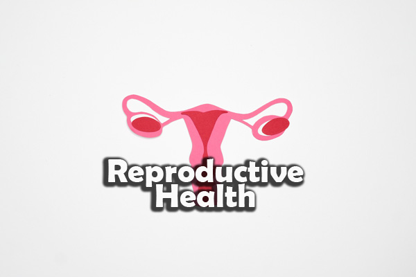Reproductive Health Model Papers
