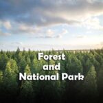 Forest and National Park Questions and Answers
