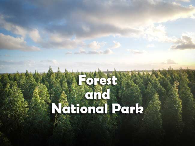 Forest and National Park Questions and Answers