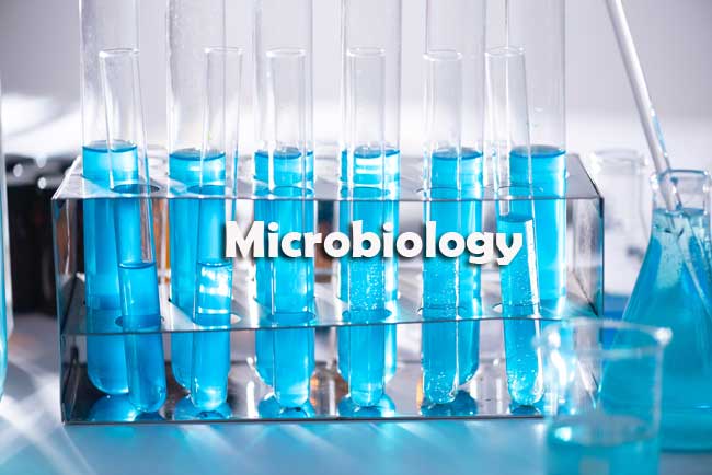 Microbiology Questions and Answers