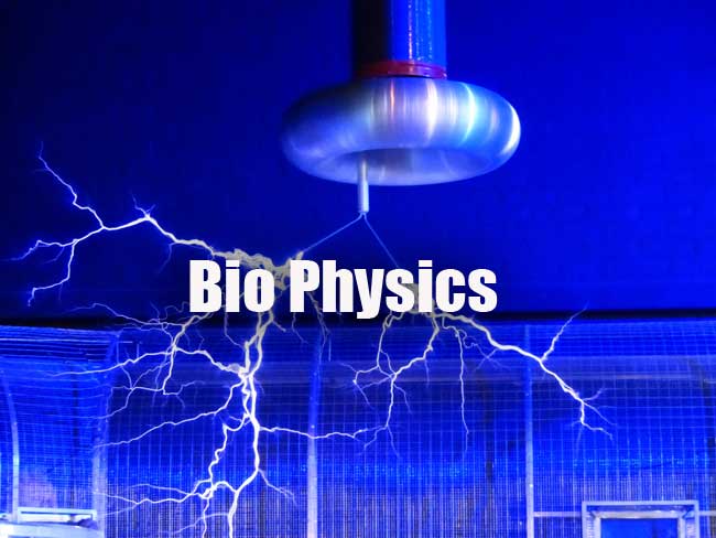 Biophysics Questions and Answers