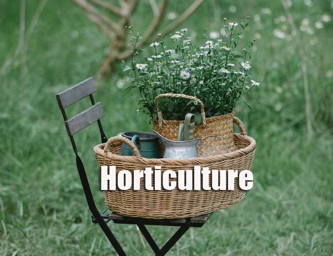 Horticulture Model Question Papers