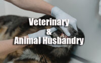 Veterinary MCQ Question Papers | Animal Husbandry
