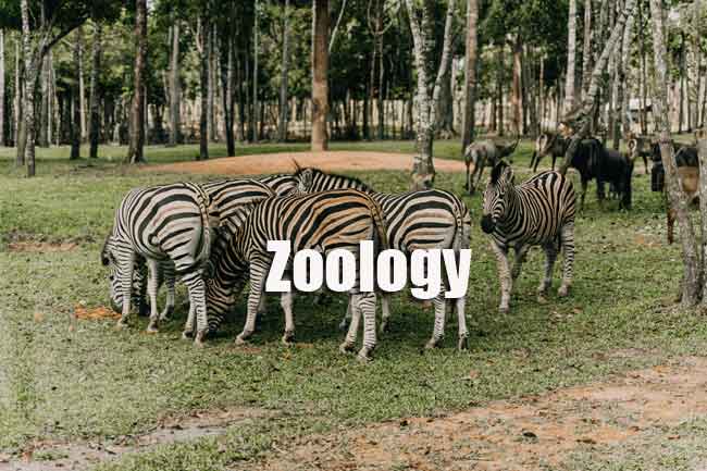 GATE Zoology Question Papers