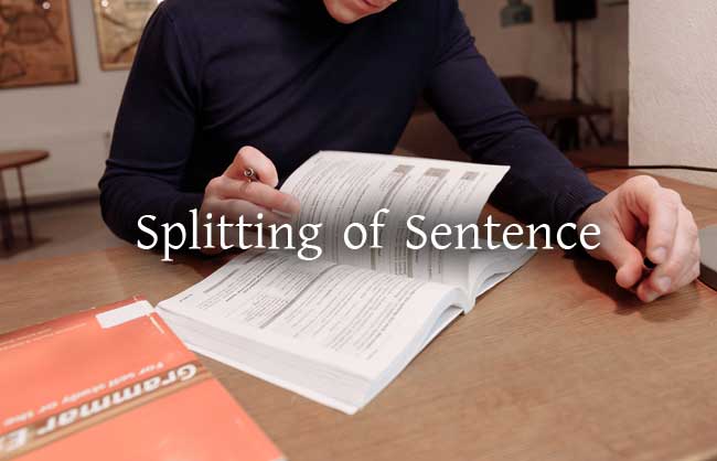 Splitting of Sentence Examples
